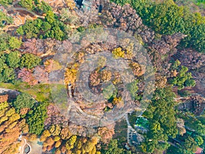 Hubei Wuhan East Lake Scenic Area Late Autumn Scenery