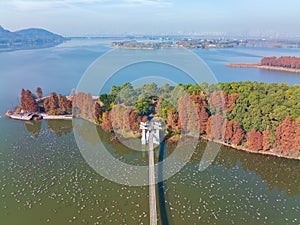 Hubei Wuhan East Lake Scenic Area Late Autumn Scenery