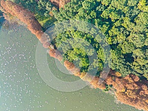 Hubei Wuhan East Lake Scenic Area Late Autumn Scenery