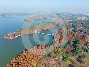 Hubei Wuhan East Lake Scenic Area Late Autumn Scenery