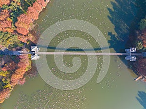 Hubei Wuhan East Lake Scenic Area Late Autumn Scenery