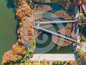 Hubei Wuhan East Lake Scenic Area Late Autumn Scenery