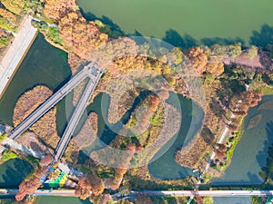 Hubei Wuhan East Lake Scenic Area Late Autumn Scenery