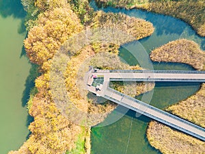 Hubei Wuhan East Lake Scenic Area Late Autumn Scenery