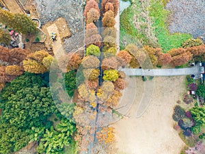 Hubei Wuhan East Lake Scenic Area Late Autumn Scenery