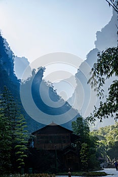 Hubei Zigui Three Gorges Bamboo Sea Tianshui Gorge