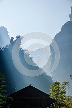 Hubei Zigui Three Gorges Bamboo Sea Tianshui Gorge