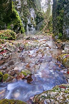 Huciaky gorge at Low Tatras mountains under Salatin