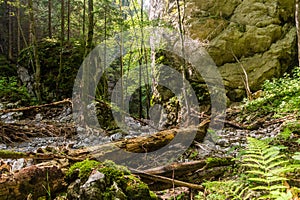 Huciaky gorge in Nizke Tatry mountains, Slovak