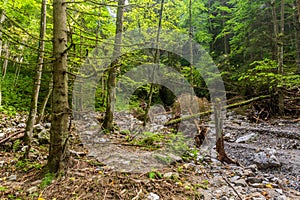 Údolie Hučiaky v Nízkých Tatrách, Slovensko