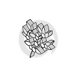 huckleberry bilbery plant isometric icon vector illustration