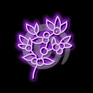 huckleberry bilbery plant neon glow icon illustration