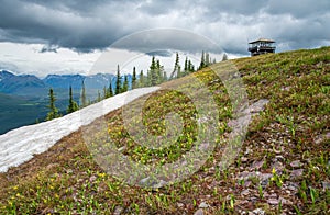 Huckleberry Mountain Lookout, Glacier National Park.