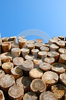 Huddle of wood