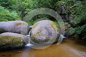 Huelgoat forest Mare aux Sangliers in Brittany