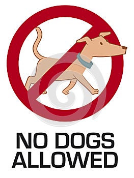 No dogs allowed photo