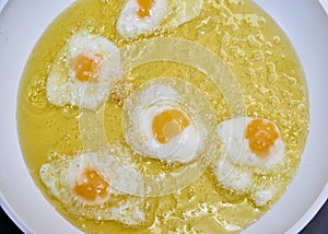 Quail fried eggs photo