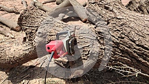 Wood cutter machine on Neem tree trunk photo