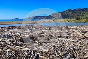 Huge amount of driftwood washed ashore. Tokomaru Bay, New Zealand