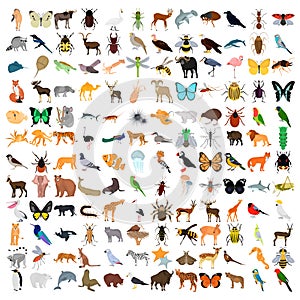 Huge animals color flat icons set