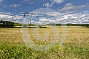 Huge area of grassland in Europe