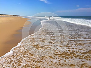 The Huge Atlantic Beaches of South west France Cap-Ferret Peninsula, South West France