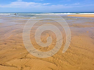 The Huge Atlantic Beaches of South west France Cap-Ferret Peninsula, South West France