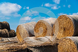 Huge bales of hay and blue sky with clouds. Bales of hay to feed cattle in winter. Agricultural proces