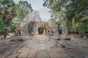 Huge Banyan Tree Ancient Angkor Wat Ruins Panorama Sunrise Asia. Siem Reap, Cambodia