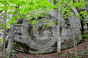 Huge boulder with distinctive banding patterns along hiking trail at Algonquin Park