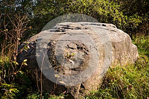 A huge boulder of glacial origin in the forest
