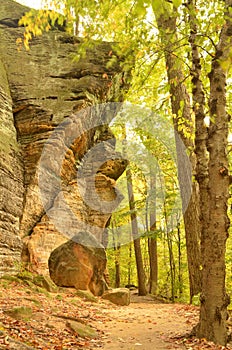 Huge boulder in the woods in Ledges Park