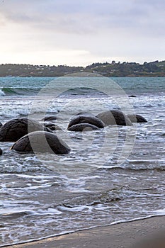 Huge boulders Moeraki on the Pacific coast. New Zealand