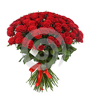 Huge bouquet of beautiful red roses on white