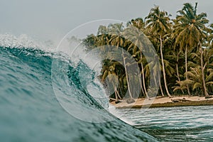 Huge breaking wave of a sea and the palm  trees in the background in Mentawai islands, Indonesia