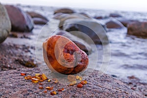 Huge bright yellow amber on the beach