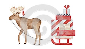 Huge brown moose with knitted mitten on antlers, carrying sled with many festive gift boxes.