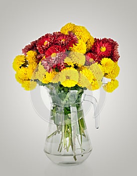 Huge bunch of yellow and red autumn chrysanthemum flowers