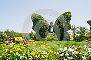 Huge butterfly sculpture made from plants on the grass field surrounded by flowers