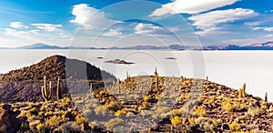 Huge cactuses Salar De Uyuni islands mountains scenic landscape