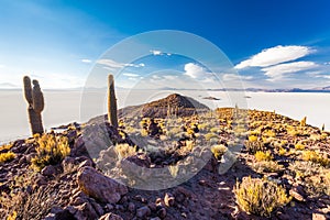 Huge cactuses Salar De Uyuni islands mountains scenic landscape
