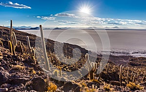 Huge cactuses Salar De Uyuni islands mountains scenic landscape