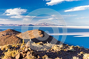 Huge cactuses Salar De Uyuni islands mountains scenic landscape