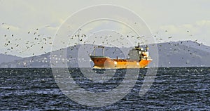 A huge cargo ship is sailing through the Bosporus Strait. The sea sparkles all around and seagulls cluck. Sea