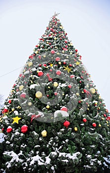 Huge Christmas tree with bright decoration in a city square