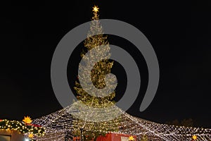 Huge Christmas tree and Cologne Cathedral during Weihnachtsmarkt, Christmas Market in KÃ¶ln, Germany.