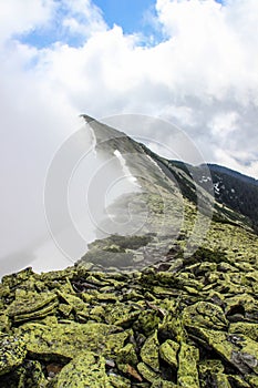 A huge cloud envelops the green Carpathian mountains