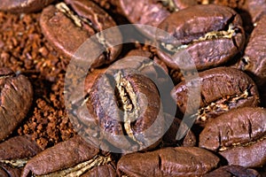 Huge coffee beans with coffee powder