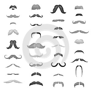 Huge collection mustache retro curly, mustache set. Mustache different colors and forms mustache hair. Mustaches barber