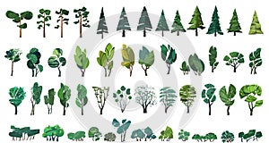 Huge collection of stylized isolated green plants for your illustrations